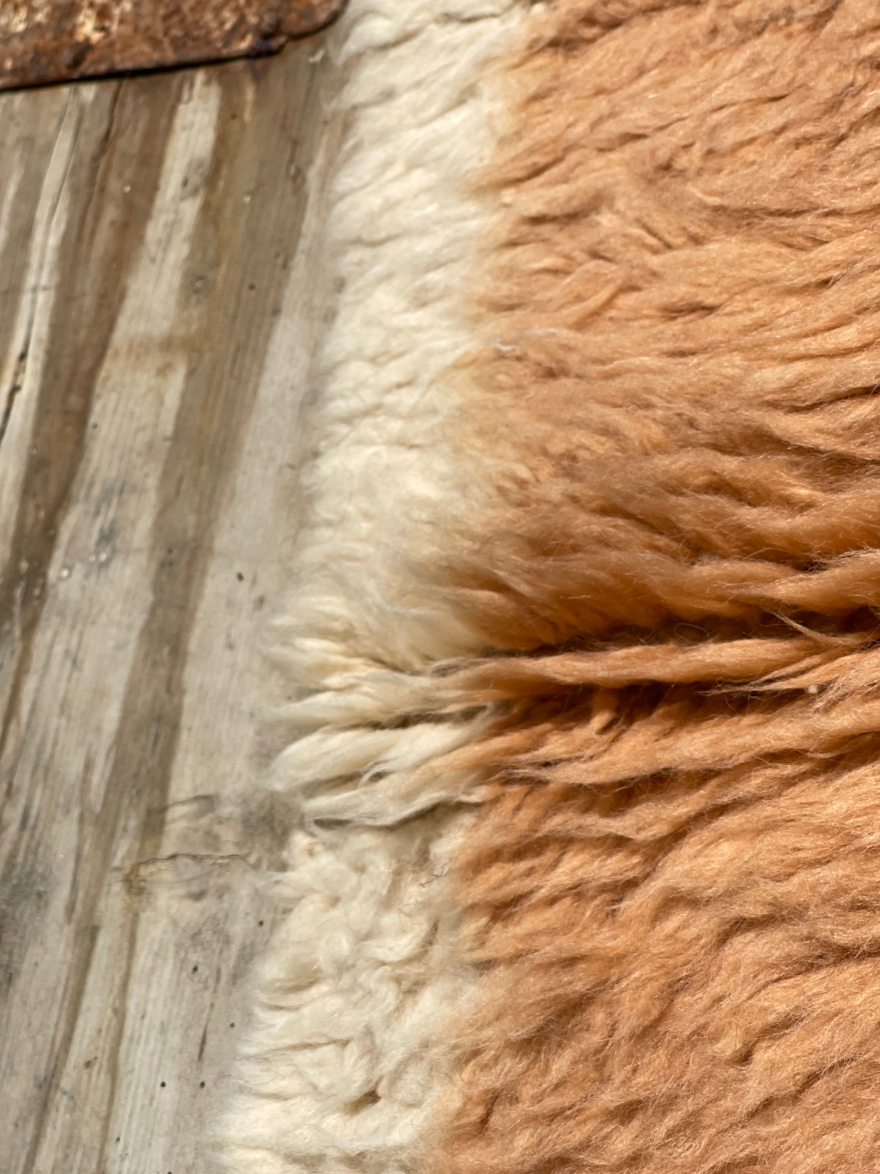 Tappeto Azilal AZ-0016